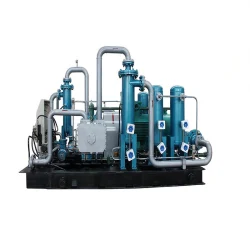 Here are some common types of gas compressors