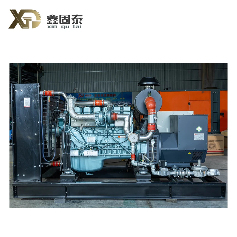 How to Choose the Right Gas Generator Set for Your Business?