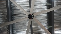 7.3m Giant Fans: Why Choose the Original Manufacturer?
