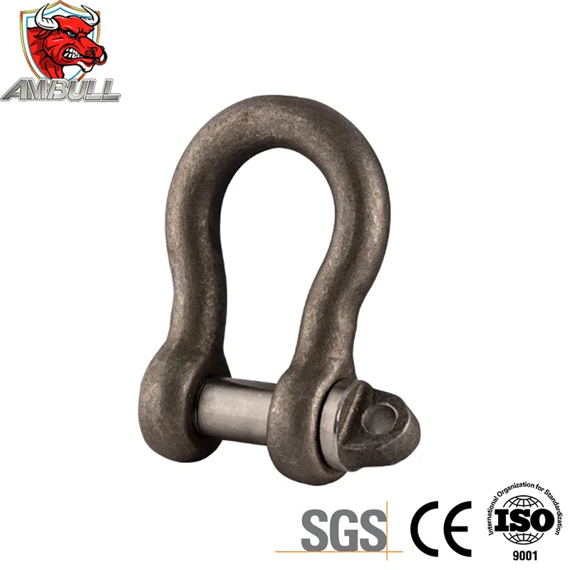 What Makes a Rigging Shackle Essential for Safe and Efficient Lifting Operations?
