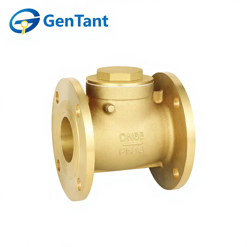 How to Install a Flanged Check Valve Correctly to Prevent Water Hammer