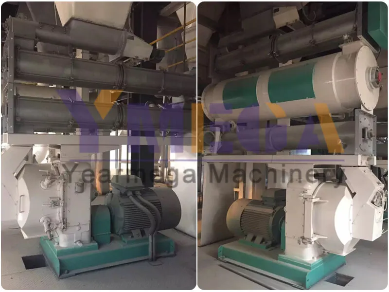 500kg 1t 2t Per Batch Double Paddle Type Feed Mixing Production Machine in Feed Factory