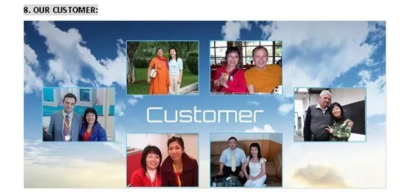 Automatic Clamping Vibration Paint Shaker