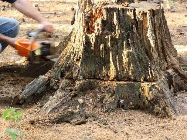 Easy Operation, Rotary Cutting, Finished Size Adjustable Tree Root Chipper