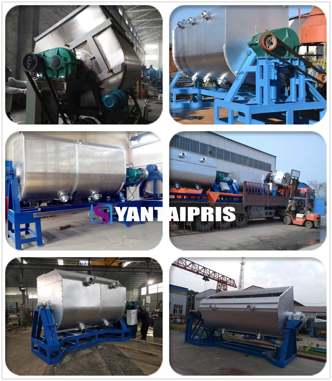 Horizontal Double Ribbon Mixer for Making Quartz Sand Paints Texture Paints Stone Effect Sand in Water Paints
