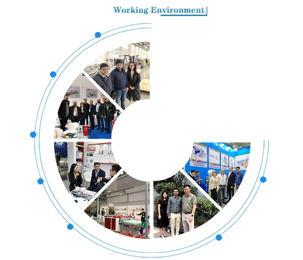 Hydraulic Lifting High Speed Disperser Paint Pigment Mixer Mixing Machine with Dispersion Plate