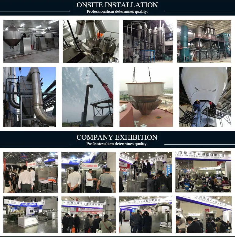 Laboratory 3D Micro Mixer SS316L 50kg Powder Supplement Mixer Mixing Machine