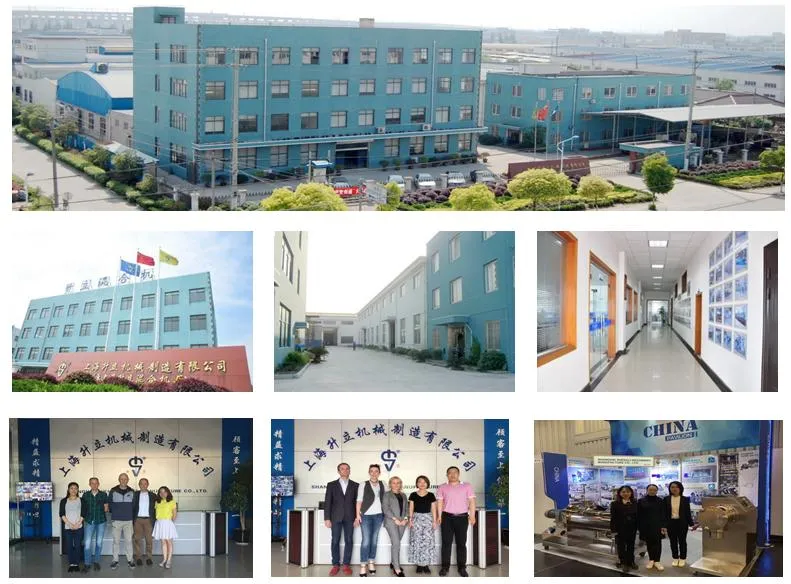 Planetary Mixer (DSH)