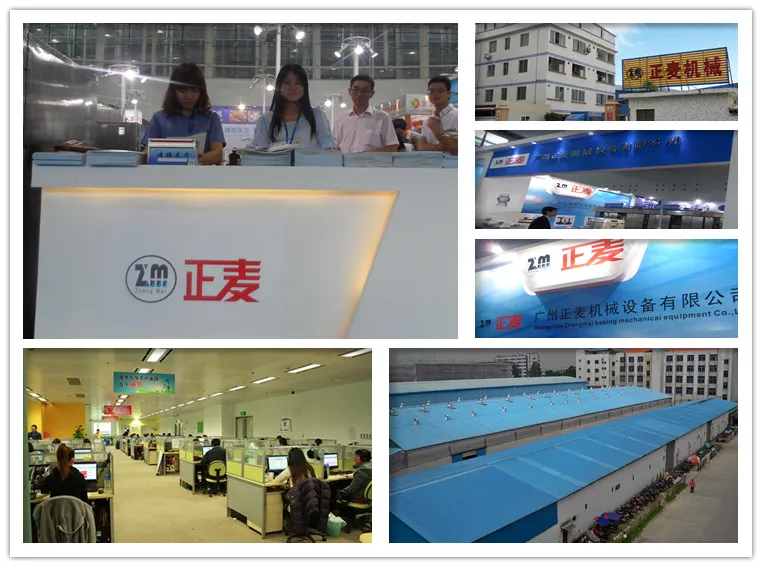 Quick Kneader Fork Dough Mixer Hot Making Machine Bakery Equipment (ZMH-100)