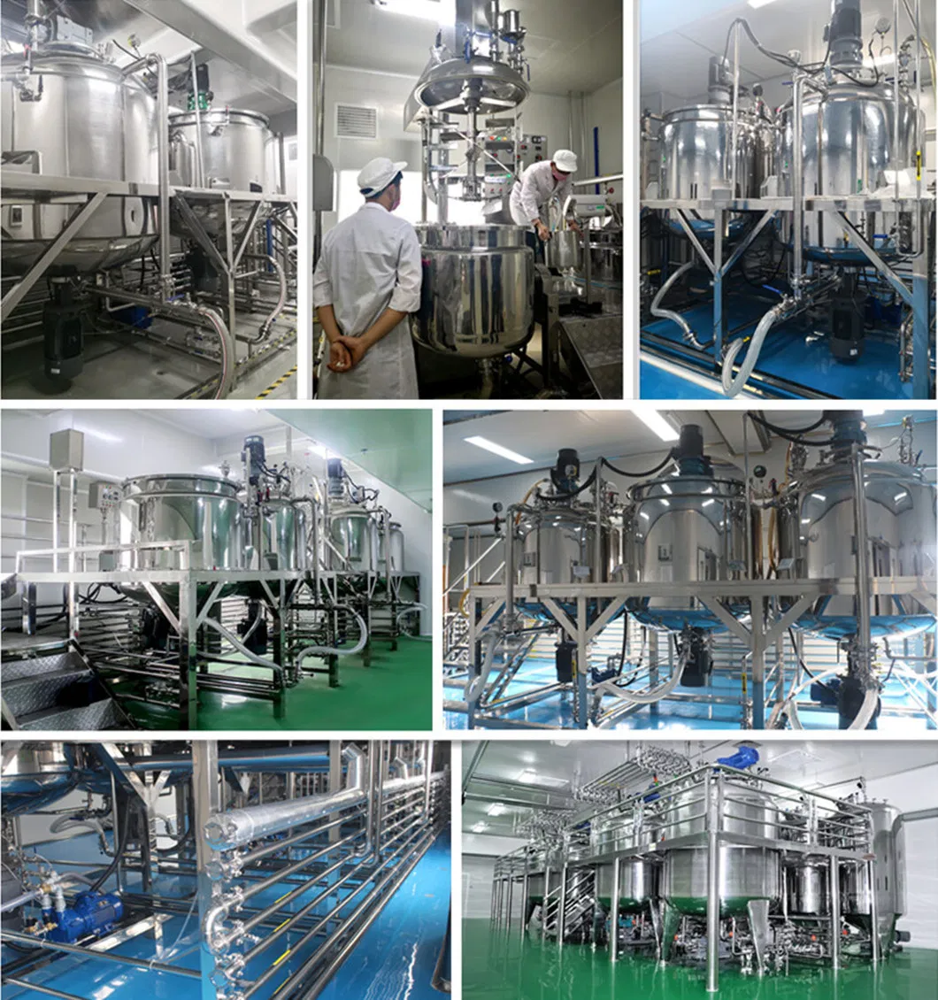 Stainless Steel Liquid/Cream/Lotion/Sauce Blending and Mixing Machine with Agitator