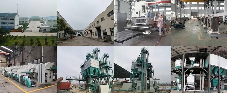 Tmr Feed Mixer for Farm Animal Feeding in China